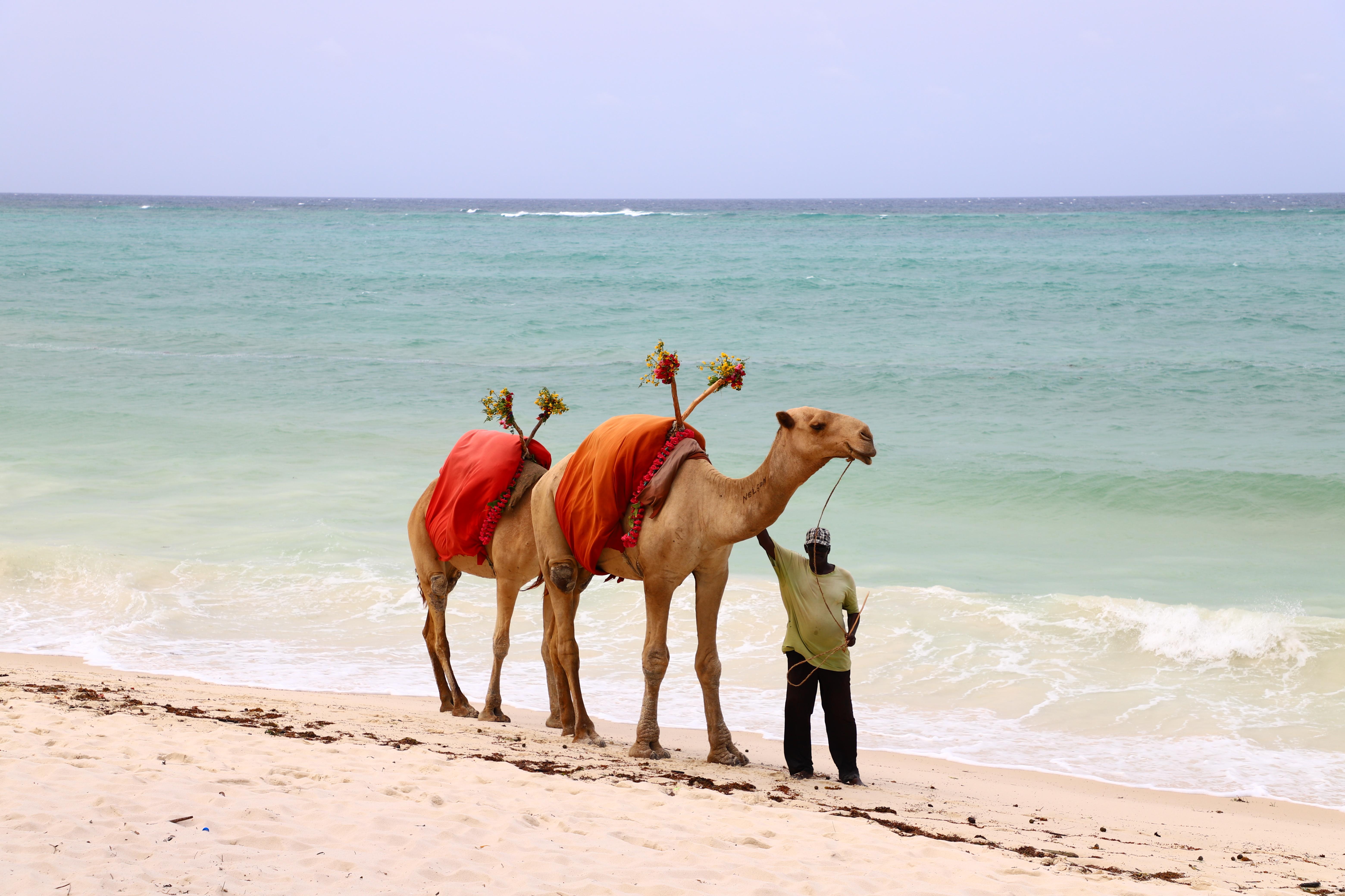 Diani Reef Beach Resort & Spa Diani Beach Dış mekan fotoğraf